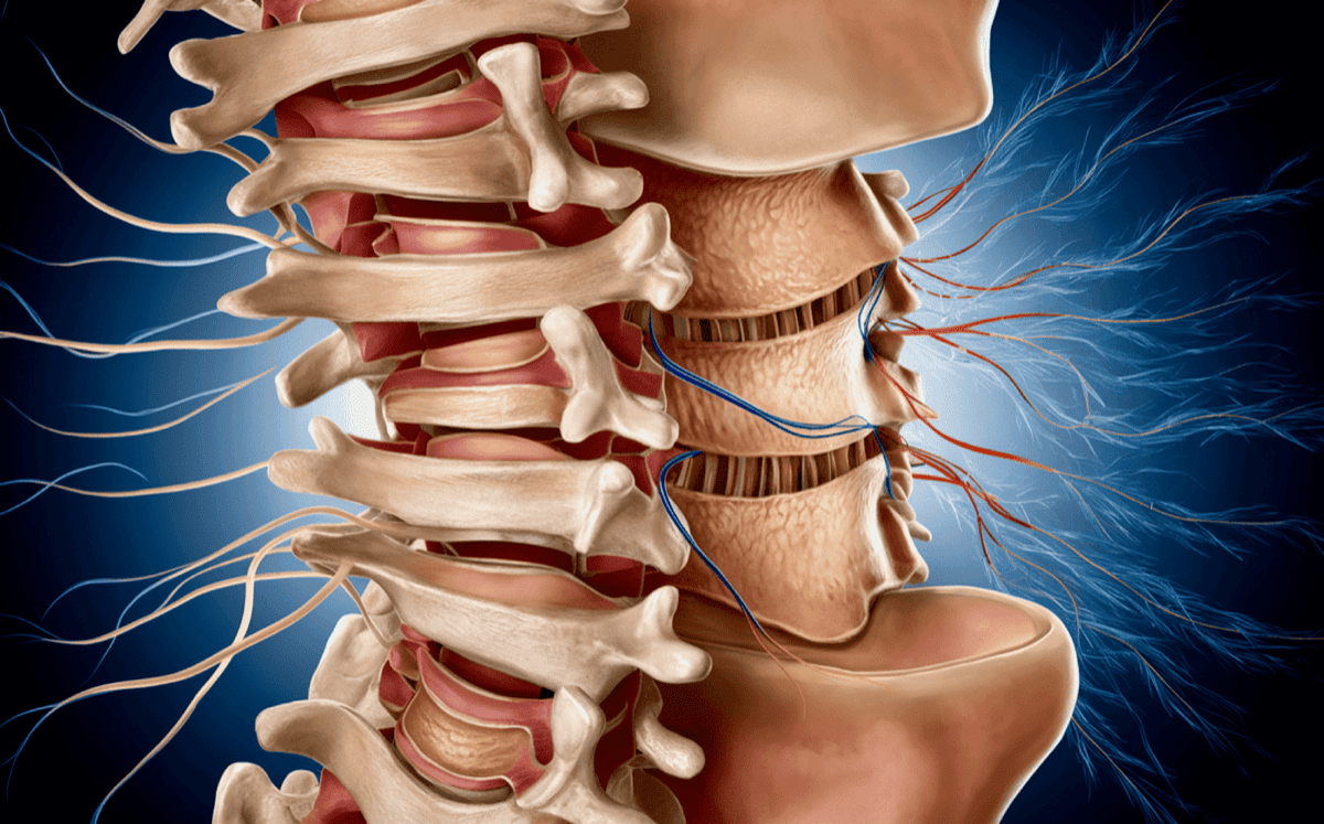 The Role of Chiropractic Care